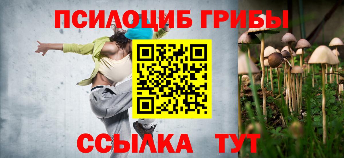 Псилоцибиновые грибы MAGIC MUSHROOMS Рубцовск