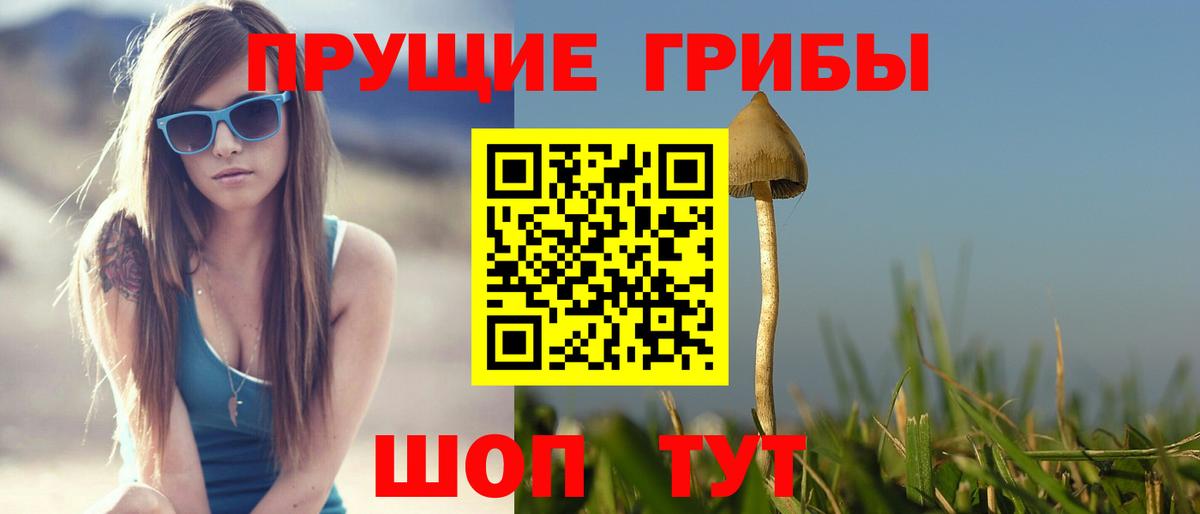 купить наркоту  Галлюциногенные грибы Magic Shrooms  Вход с VPN  Рубцовск  Галлюциногенные грибы Magic Shrooms 